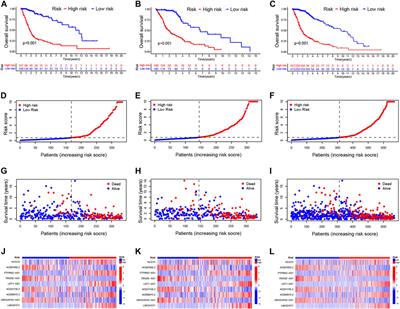 A novel signature of cuproptosis-related lncRNAs predicts prognosis in glioma: Evidence from bioinformatic analysis and experiments